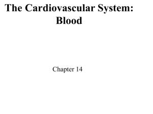 The Cardiovascular System: Blood Vessels and Circulation