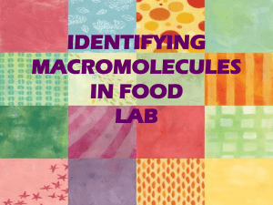 IDENTIFYING MACROMOLECULES IN FOOD LAB