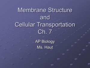 Membrane Structure and Transport-notes-2002