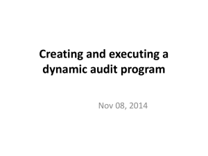 Dynamic audit programs