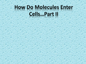 How Do Molecules Enter Cells Part II 2.1