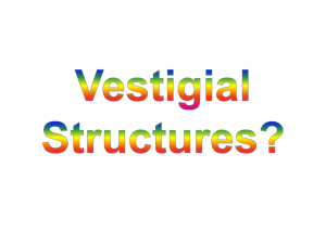 Vestigial Structures? - Harnett County High Schools Wiki
