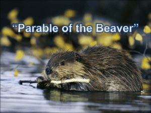 Parable of the Beaver - Joaquin Church of Christ