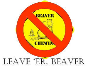 er, Beaver - University of Alberta