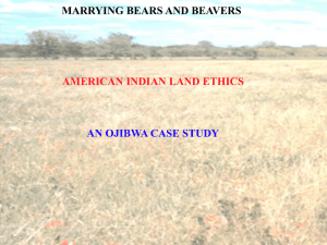 marrying bears and beavers american indian land
