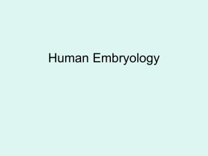 Human Embryology - Solon City Schools