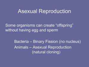 Cell Growth and Division: