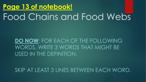 Food Chains and Food Webs - Lab Environmental Science