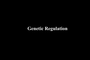 regulation of eukaryotic gene expression