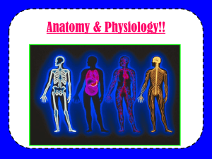 Welcome to Anatomy & Physiology!!