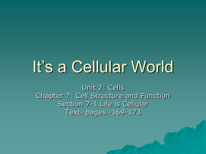It's a Cellular World