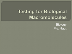 Testing for Macromolecules-Food lab-2009