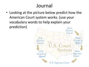 Federal Court System