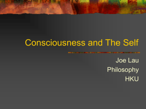 Consciousness and The Self