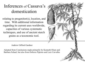 Inferences of Cassava's domestication relating to location