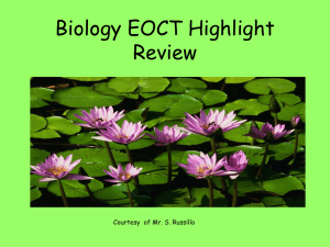 Eoct_review