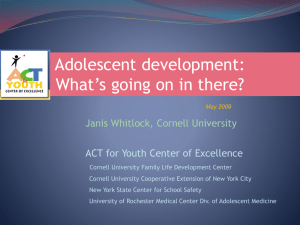 The tasks and challenges of adolescence