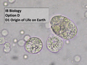 D.1.2 Outline the experiments of Miller and Urey into