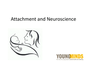 Attachment and neuroscience