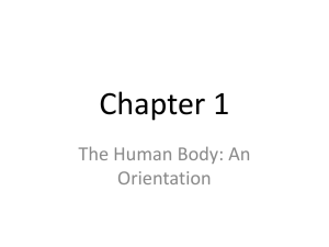 Chapter 1 - Overview