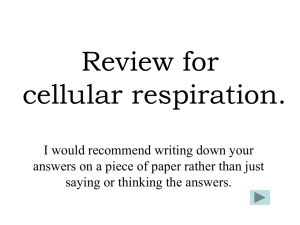 Mixed up Cellular Respiration Review only