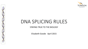 dna splicing rules - Towson University