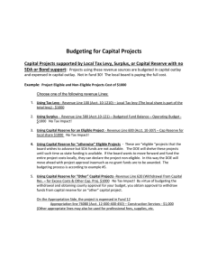 Handout - Budgeting for Capital Projects