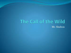 The Call of the Wild_notes
