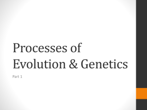 Processes of Evolution & Genetics