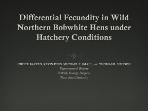 Differential Fecundity in Wild Northern Bobwhite Hens