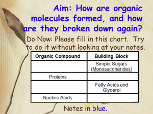 How are organic molecules formed, and how are