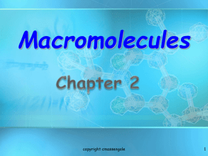 Chapter 2 Macromocules