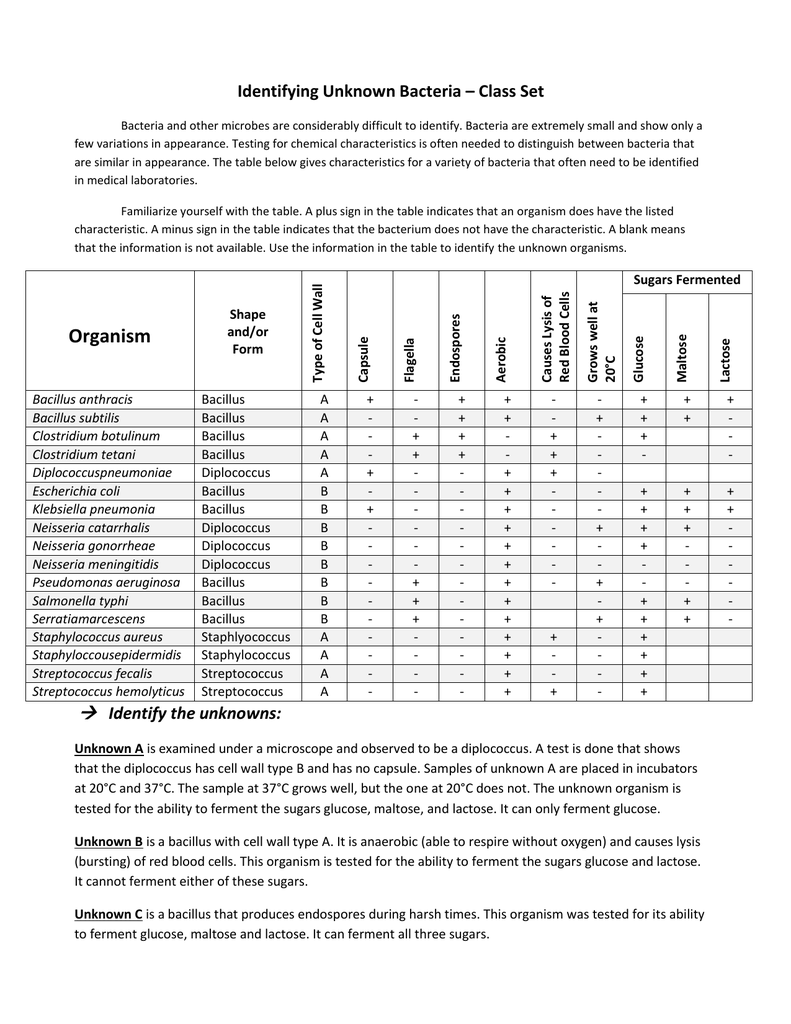 Identifying Unknown Bacteria