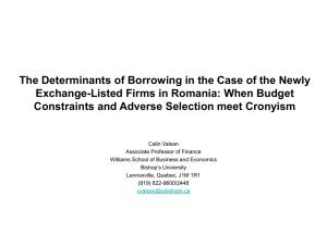 The Determinants of Borrowing in the Case of the