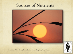 Sources of Nutrients - Sam Houston State University