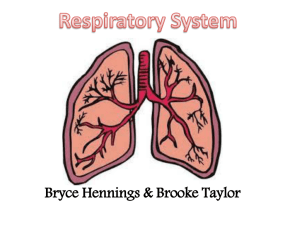 Respiratory System Bryce Hennings & Brooke Taylor Function To