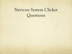 Central nervous system Autonomic division of the nervous system