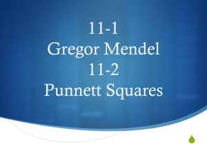 11-1 Gregor Mendel 11-2 Punnett Squares