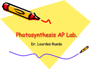 Photosynthesis AP Lab.