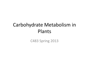 Carbohydrate Metabolism in Plants