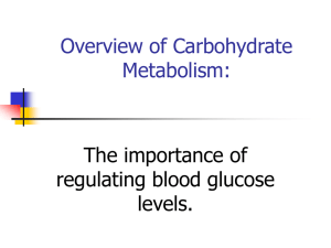 Overview of Carbohydrate Metabolism