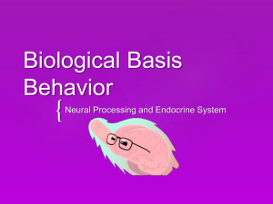 Biological Basis Behavior