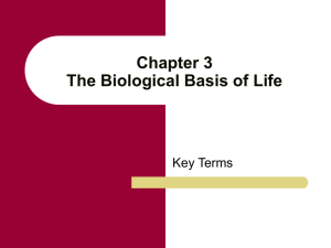 Chapter Three The Biological Basis of Life