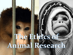 Power point presentation - Ethics of animal research (1.39