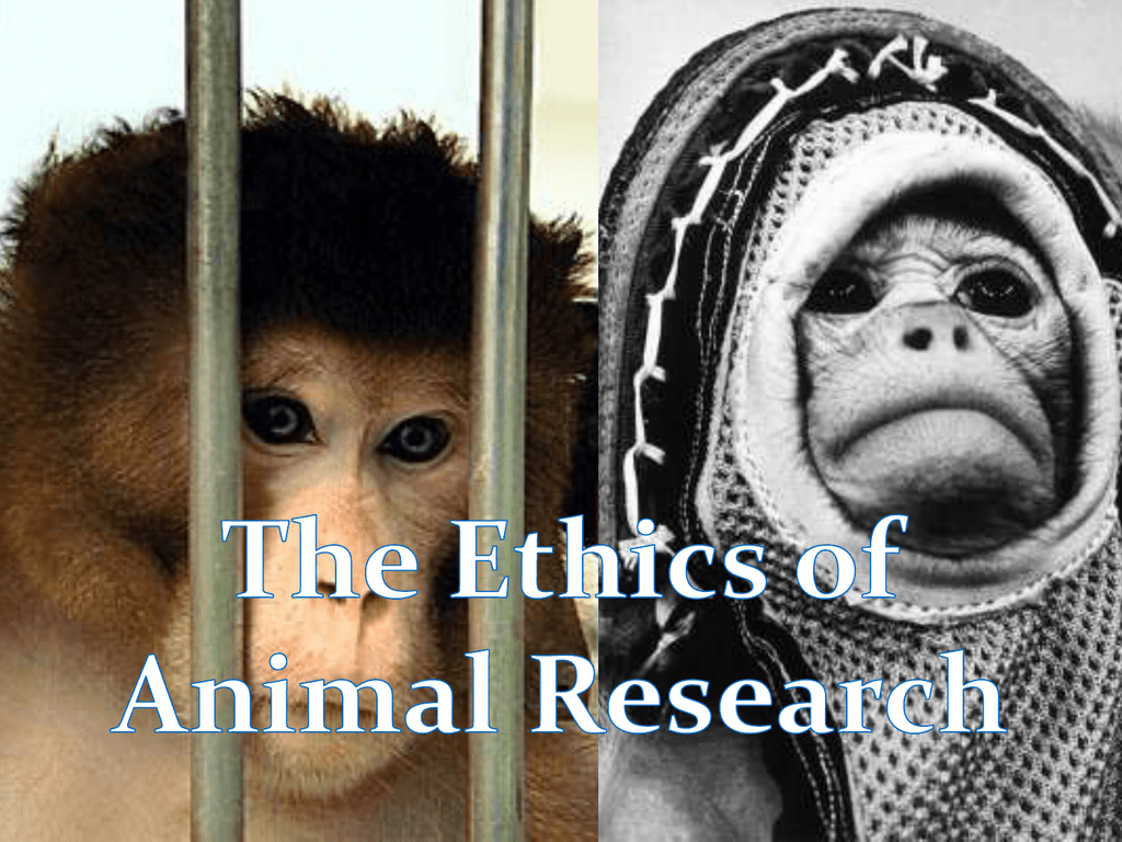 Power point presentation - Ethics of animal research (