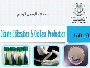 Lab.10 Citrate and Oxidase test