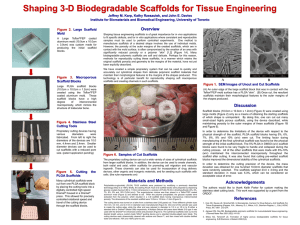 Shaping 3-D Biodegradable Scaffolds for Tissue Engineering