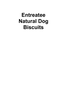 MRKFD_DVD_Research_Report_Dog_Biscuits