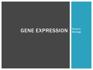 Gene Expression Notes