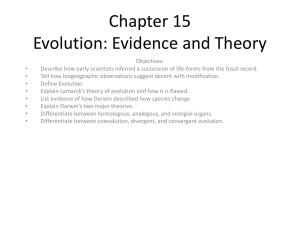 Chapter 15 Evolution: Evidence and Theory